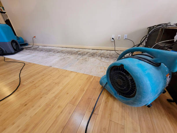 Professional Basement Flood Cleanup technician working in Short Hills, NJ